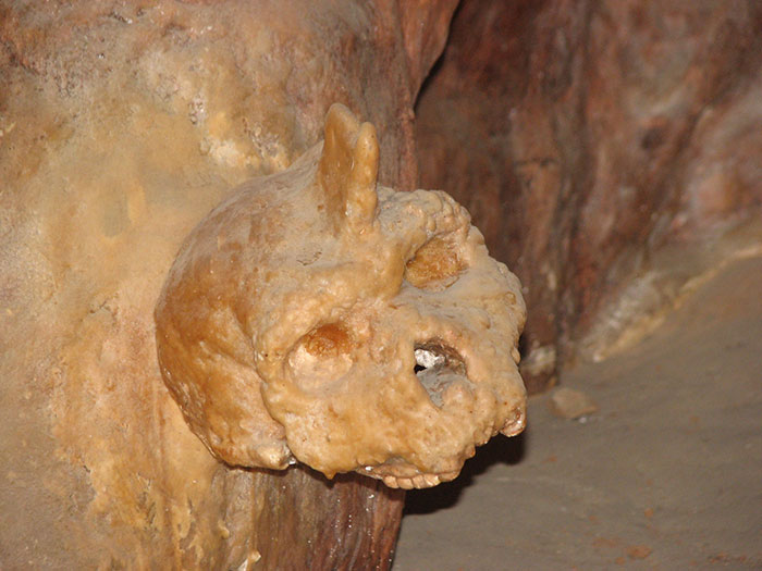 Petralona Man skull fossil embedded in cave wall, ancient anthropological find puzzling experts after new study. Petralona Man skull fossil embedded in cave wall, ancient anthropological find puzzling experts after new study.