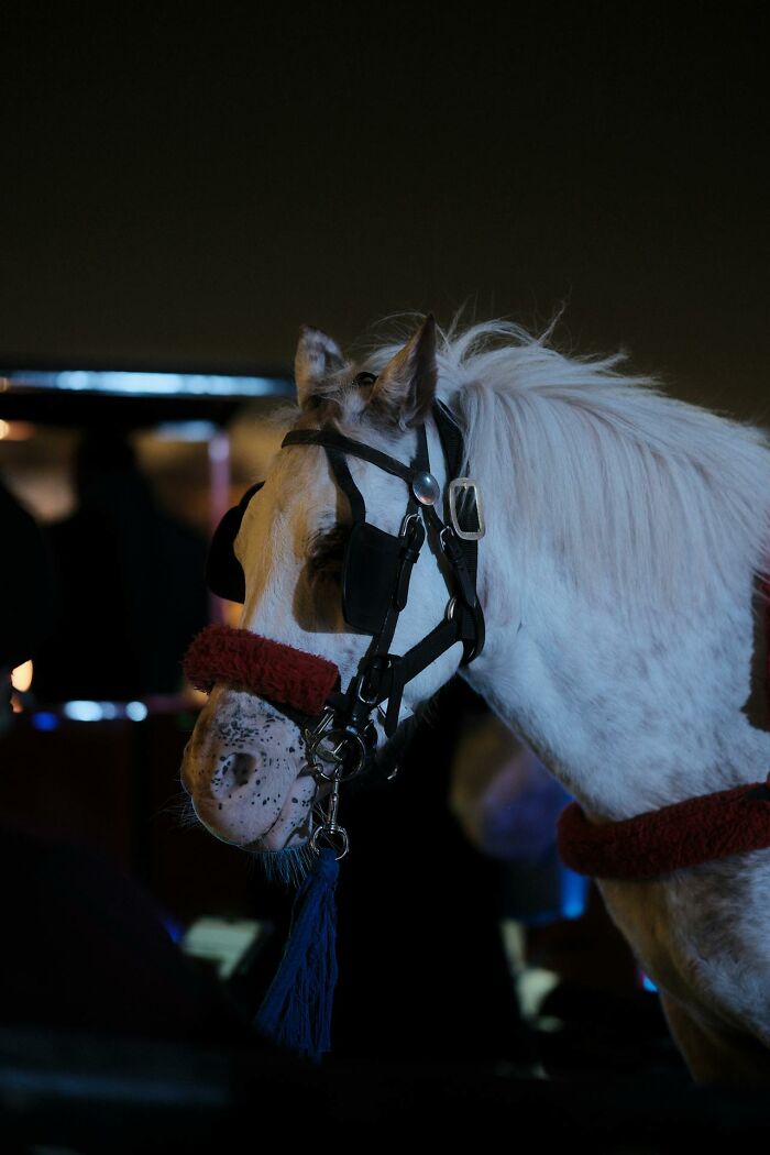 50 People Share Their Terrifying Unexplainable Experiences Out In The Woods