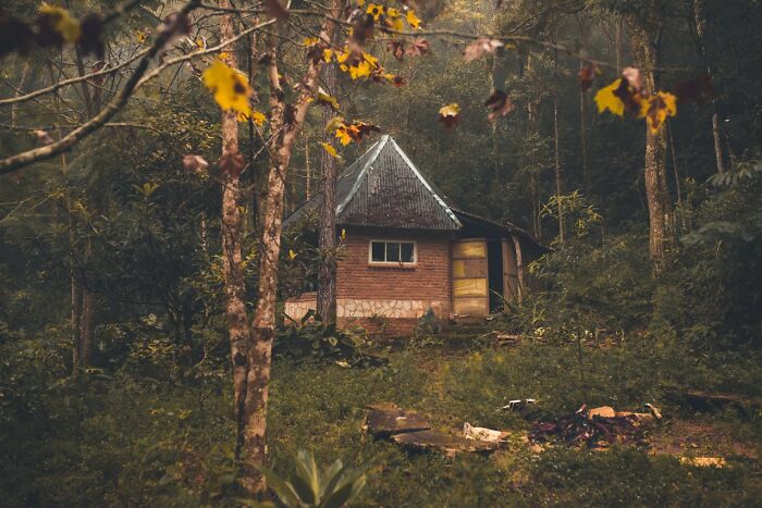 Small cabin in the dark woods surrounded by dense trees, perfect setting for creepy stories by a campfire. Small cabin in the dark woods surrounded by dense trees, perfect setting for creepy stories by a campfire.