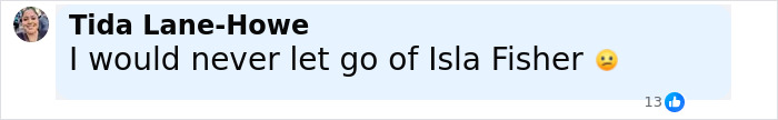 Comment by Tida Lane-Howe saying she would never let go of Isla Fisher with a sad emoji on social media. Comment by Tida Lane-Howe saying she would never let go of Isla Fisher with a sad emoji on social media.