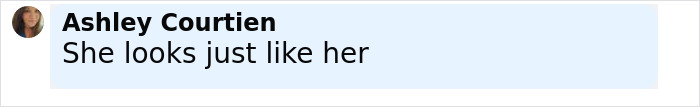 Comment from Ashley Courtien saying she looks just like her in black text on a light blue background. Comment from Ashley Courtien saying she looks just like her in black text on a light blue background.