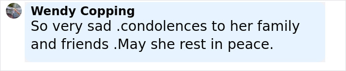 Comment expressing condolences for a trapeze artist who loses life during a circus stunt in front of families. Comment expressing condolences for a trapeze artist who loses life during a circus stunt in front of families.