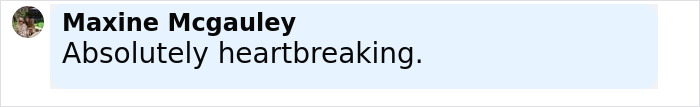 Comment by Maxine Mcgauley saying Absolutely heartbreaking with a profile picture of a woman, related to trapeze artist loses life circus stunt news. Comment by Maxine Mcgauley saying Absolutely heartbreaking with a profile picture of a woman, related to trapeze artist loses life circus stunt news.