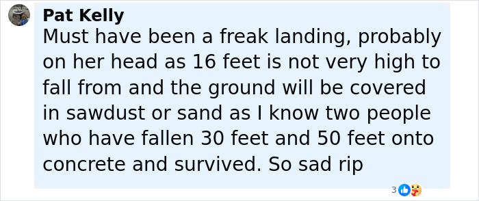 Comment discussing a trapeze artist's fatal fall during a circus stunt, expressing disbelief and condolences. Comment discussing a trapeze artist's fatal fall during a circus stunt, expressing disbelief and condolences.
