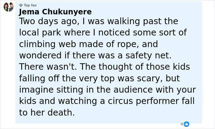 Comment text describing a trapeze artist's fatal accident during a circus stunt witnessed by families in the audience. Comment text describing a trapeze artist's fatal accident during a circus stunt witnessed by families in the audience.