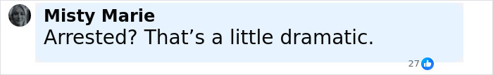 Comment by Misty Marie questioning the arrest related to teacher using poop spray causing school damage and sickness. Comment by Misty Marie questioning the arrest related to teacher using poop spray causing school damage and sickness.