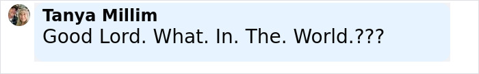 Comment by Tanya Millim expressing shock and confusion about the Minneapolis suspect's furry girlfriend and disturbing journal entries. Comment by Tanya Millim expressing shock and confusion about the Minneapolis suspect's furry girlfriend and disturbing journal entries.