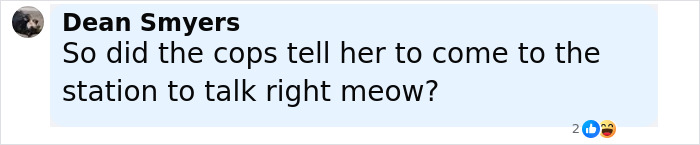 Comment by Dean Smyers asking if cops told her to come to the station to talk, referencing furry Minneapolis suspect’s girlfriend. Comment by Dean Smyers asking if cops told her to come to the station to talk, referencing furry Minneapolis suspect’s girlfriend.
