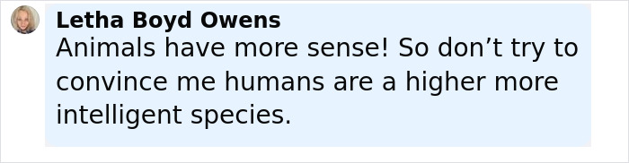 Screenshot of a social media comment by Letha Boyd Owens on intelligence comparing animals and humans. Screenshot of a social media comment by Letha Boyd Owens on intelligence comparing animals and humans.