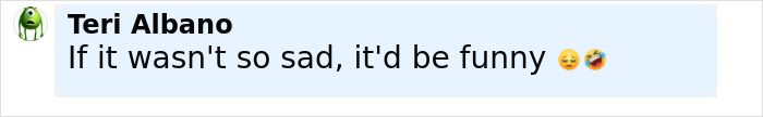 Chat message from user Teri Albano expressing that the situation would be funny if it weren't so sad, with sad and laughing emojis. Chat message from user Teri Albano expressing that the situation would be funny if it weren't so sad, with sad and laughing emojis.