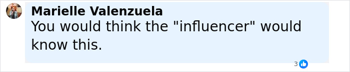 Comment by Marielle Valenzuela discussing influencer and Airbnb owners charging $10,000 for selfie inside famous Invisible House. Comment by Marielle Valenzuela discussing influencer and Airbnb owners charging $10,000 for selfie inside famous Invisible House.