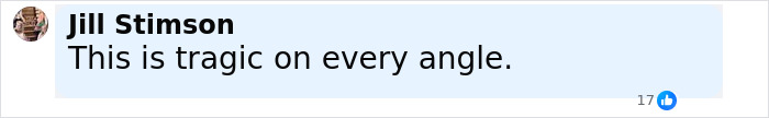 Comment by Jill Stimson expressing that the situation is tragic on every angle accompanied by 17 likes. Comment by Jill Stimson expressing that the situation is tragic on every angle accompanied by 17 likes.