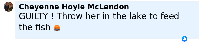 Facebook comment by Cheyenne Hoyle McLendon reacting to an unhinged Amish mom’s chilling confession after drowning 4YO son. Facebook comment by Cheyenne Hoyle McLendon reacting to an unhinged Amish mom’s chilling confession after drowning 4YO son.