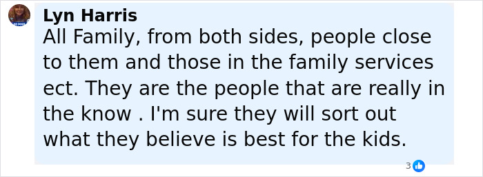 Screenshot of a social media comment by Lyn Harris discussing family efforts regarding kids who vanished into wilderness. Screenshot of a social media comment by Lyn Harris discussing family efforts regarding kids who vanished into wilderness.