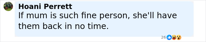 Screenshot of a social media comment discussing the mom of kids who vanished into wilderness as photos of campsite are released Screenshot of a social media comment discussing the mom of kids who vanished into wilderness as photos of campsite are released