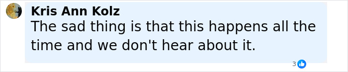 Comment by Kris Ann Kolz expressing concern about the frequency of cases involving 11-year-old girl and stepfather abuse. Comment by Kris Ann Kolz expressing concern about the frequency of cases involving 11-year-old girl and stepfather abuse.