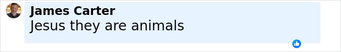Comment by James Carter on social media, expressing strong disapproval with the statement "Jesus they are animals." Comment by James Carter on social media, expressing strong disapproval with the statement "Jesus they are animals."