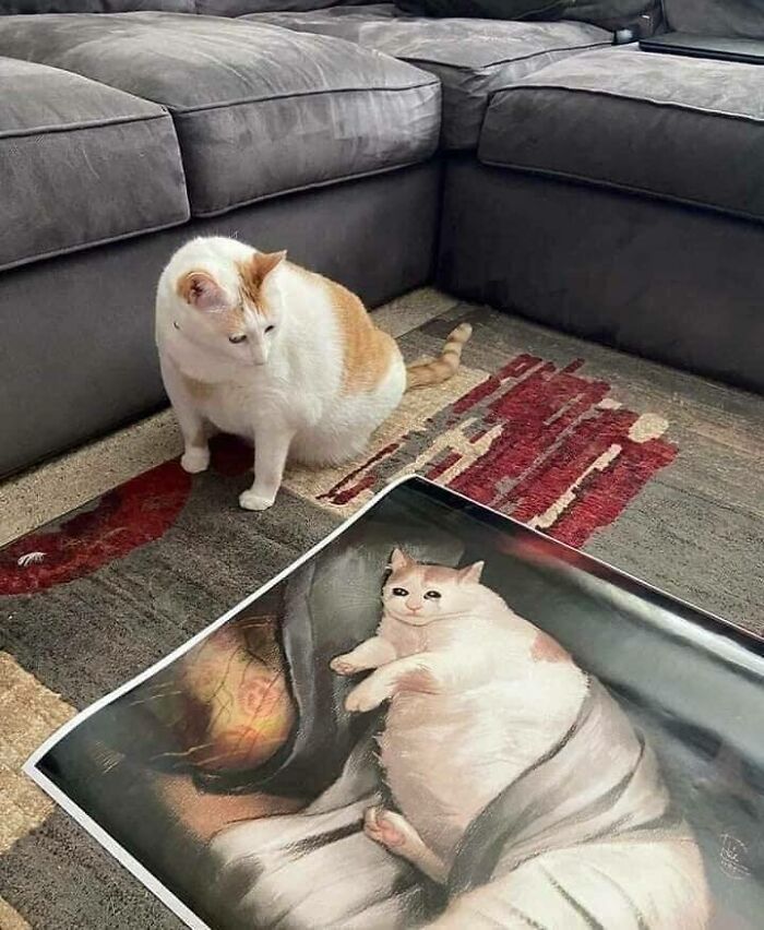 Chubby round funny cat sitting on a carpet next to a large art print of a similar chubby round funny cat.