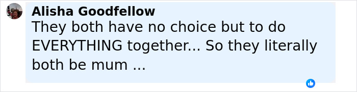 Comment discussing conjoined twins Abby and Brittany and expert opinions on who would be the mom of their baby. Comment discussing conjoined twins Abby and Brittany and expert opinions on who would be the mom of their baby.