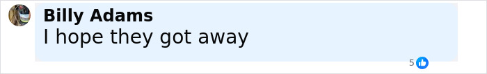 Comment by Billy Adams saying I hope they got away, related to hundreds of detainees missing from ICE records. Comment by Billy Adams saying I hope they got away, related to hundreds of detainees missing from ICE records.