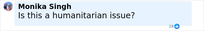 Comment from Monika Singh asking if the situation is a humanitarian issue in a social media post about detainees missing from ICE records. Comment from Monika Singh asking if the situation is a humanitarian issue in a social media post about detainees missing from ICE records.