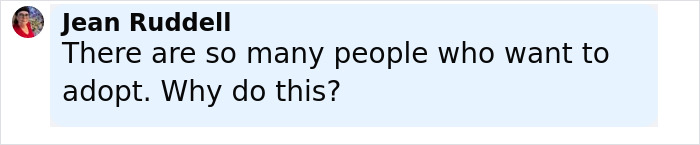 Comment by Jean Ruddell questioning why someone would hide a newborn in a closet amid cheerleader arrest news. Comment by Jean Ruddell questioning why someone would hide a newborn in a closet amid cheerleader arrest news.