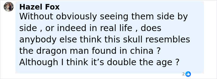 Comment by Hazel Fox questioning if the Petralona Man skull resembles the Dragon Man found in China despite age differences. Comment by Hazel Fox questioning if the Petralona Man skull resembles the Dragon Man found in China despite age differences.