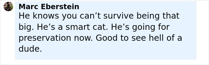 Comment from Marc Eberstein in black text on a light blue background defending Dwayne Johnson’s new slim look amid health concerns. Comment from Marc Eberstein in black text on a light blue background defending Dwayne Johnson’s new slim look amid health concerns.