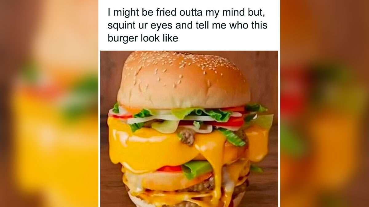 Humorous viral meme showing a cheeseburger with melted cheese and vegetables, capturing random meme chaos.