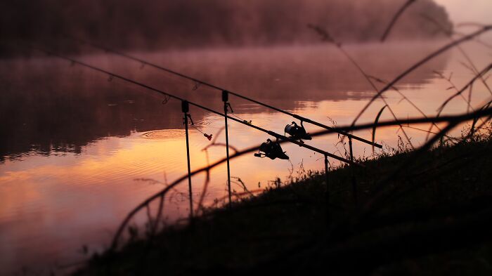 25 Unbelievable And Horrifying Things People Swear They Really Saw