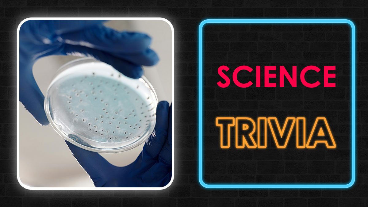 Hands in blue gloves holding a petri dish with culture, next to neon text reading science trivia on dark background