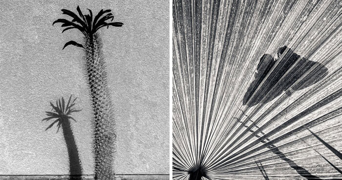 Here’s The 25 Winners Of AAP Magazine Contest “Shapes”