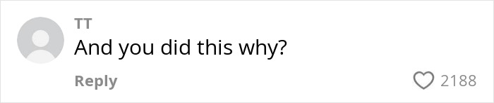 Screenshot of an online comment questioning the risk taken by a severely injured 17-year-old Everest climber. Screenshot of an online comment questioning the risk taken by a severely injured 17-year-old Everest climber.