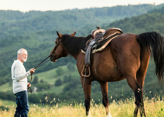 Elderly man holding horse reins in a green field, reflecting on dark secrets that changed views of family members.