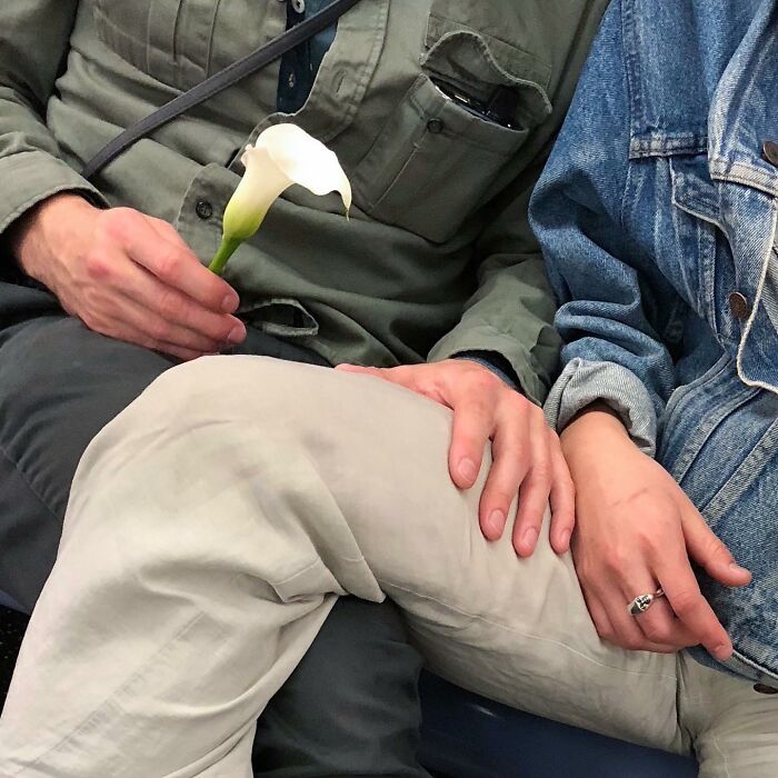 Two people sitting on the subway in New York, one holding a white flower while their hands gently touch.