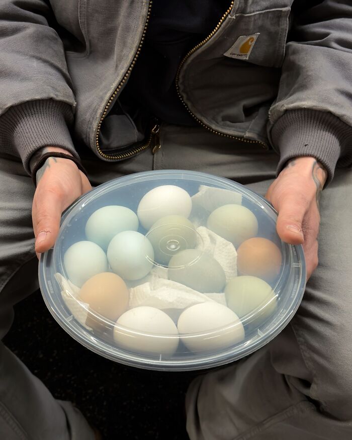 Person on New York subway holding a container of colorful eggs, showcasing cute and weird things carried in hands.