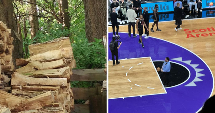 50 Photos Of Accidental Camouflage That Made People Do A Double Take (New Pics)