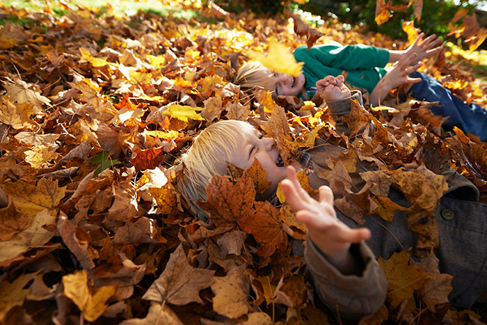 Two children laughing and playing while being relentlessly pursued by someone in a pile of autumn leaves outdoors.