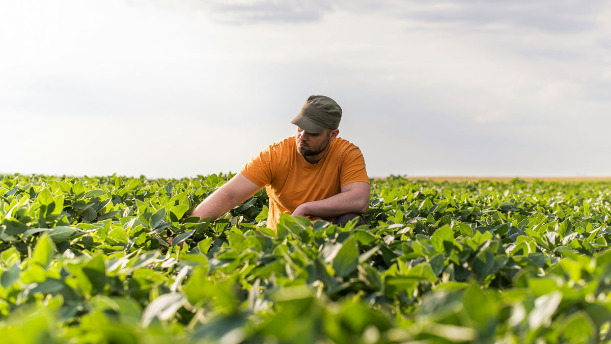 “That’s Advanced Stupid”: 46 People Share How They Were Baffled By Someone’s Sheer Ignorance