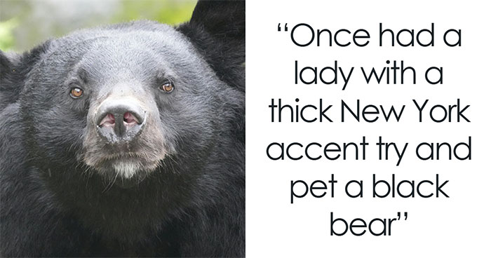 “He Wasn’t Even Ashamed”: 46 Ridiculous Tourist Moments Tour Guides Can’t Forget