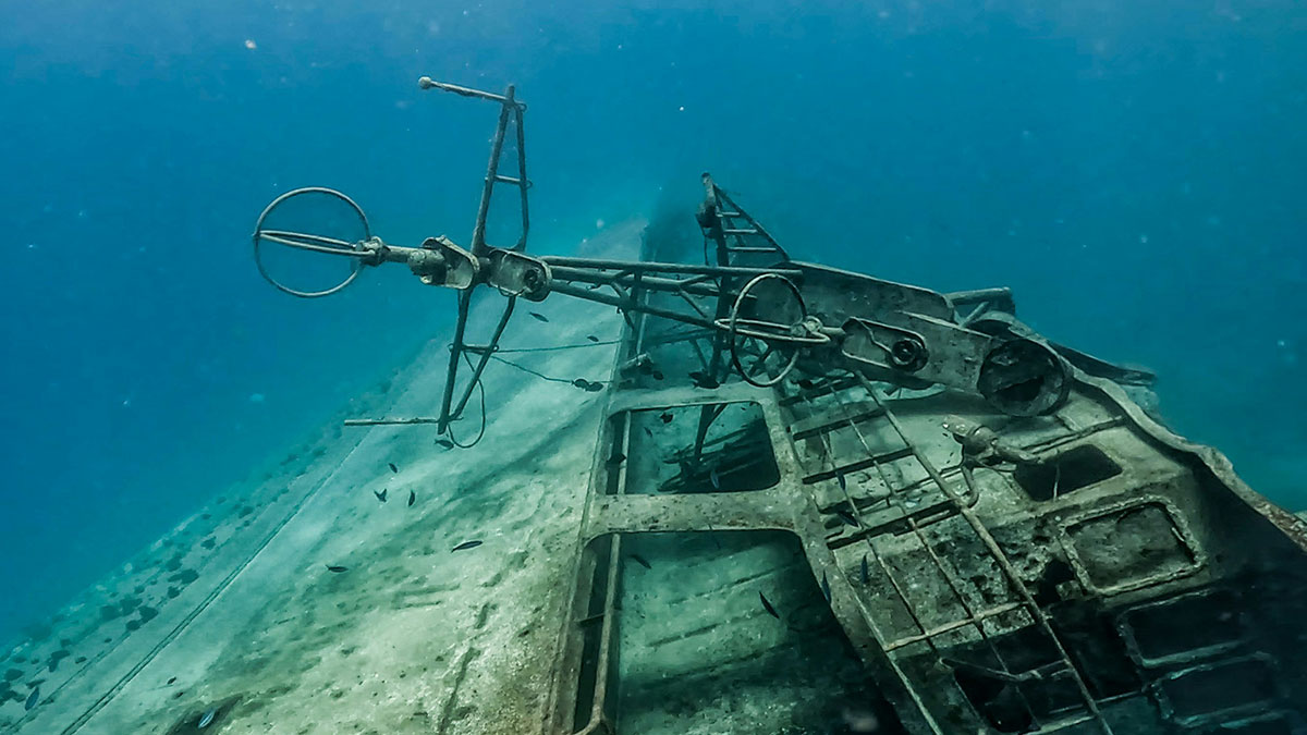 Submerged historical shipwreck underwater surrounded by fish, illustrating bizarre and fascinating historical events.