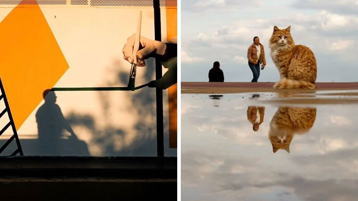 Shadow of a person painting on a wall and a cat reflected in a puddle in a perfectly timed street photo.