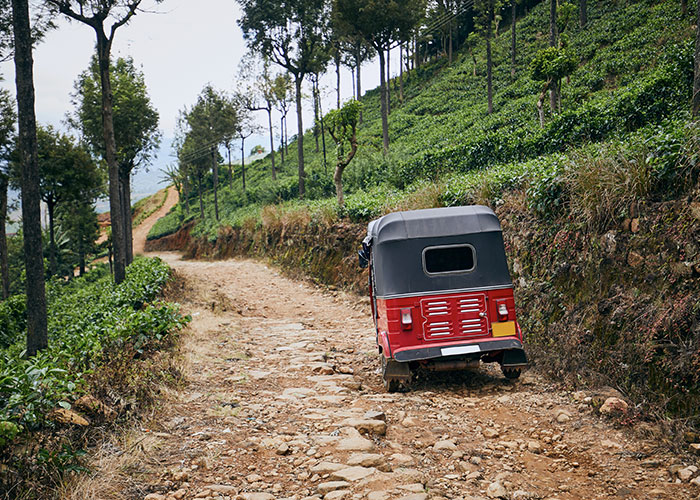 "I Had Nightmares For A Year": 41 Vacations That Ended Up Being More Like Trips To Hell