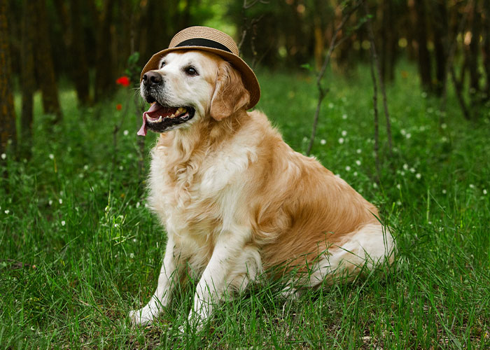 "I Had Nightmares For A Year": 41 Vacations That Ended Up Being More Like Trips To Hell