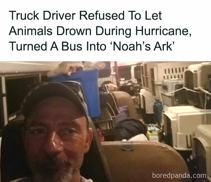 Truck driver turns bus into Noah’s Ark, rescuing animals during hurricane in a wholesome act of kindness.