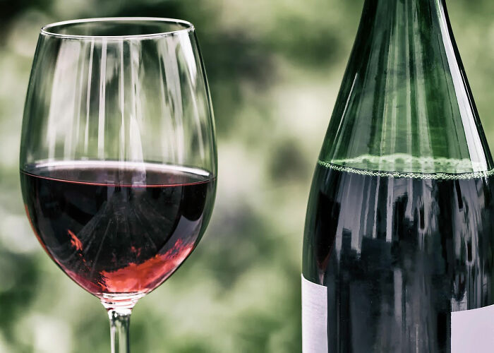 It’s Hard To Believe These 42 People Are Truly This Dumb