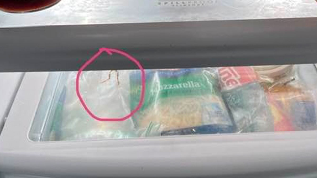 Small frog circled inside a fridge freezer drawer with various frozen food items visible around it.