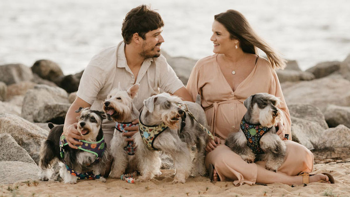 Couple sitting on the beach with four dogs, showing concern and stress over potential CPS call and disapproval of dogs.