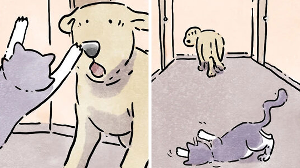 Wordless comics showing heartfelt moments of life with a dog and a cat in simple, charming illustrations.