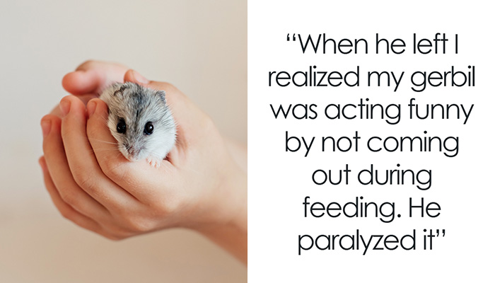 “Faked A Miscarriage In My All-White Bathroom”: 47 Things That Got Guests Banned For Good